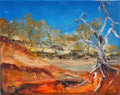 Murchison river bank
