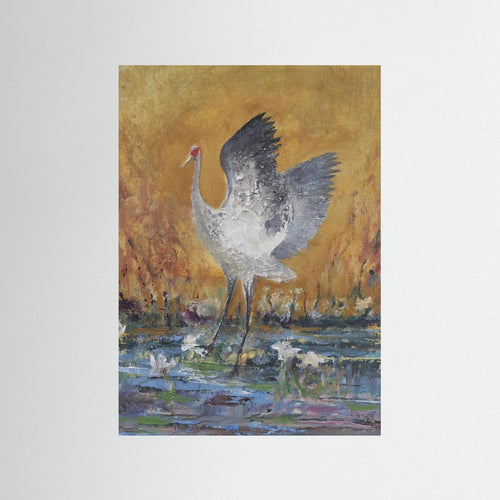 .Dancing Brolga