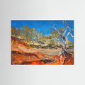 Murchison river bank