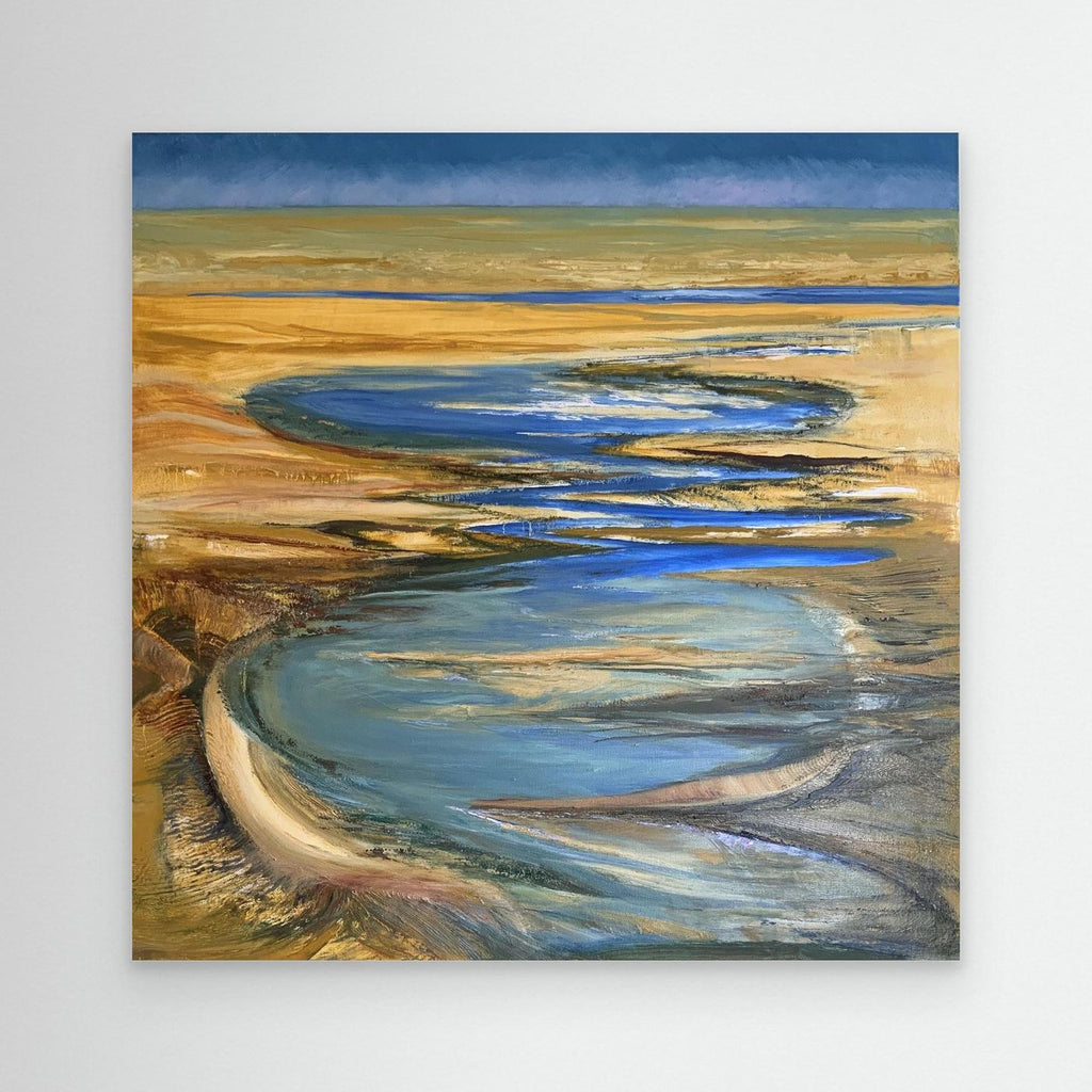 Lake Eyre in the wet season