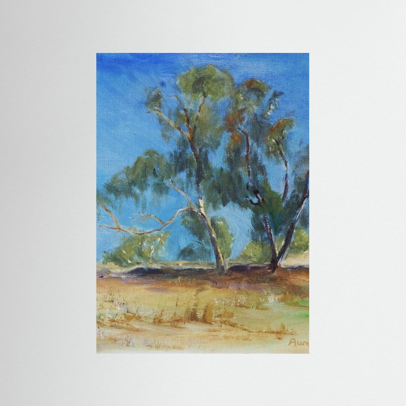 River Gum