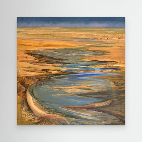 Lake Eyre in the wet season