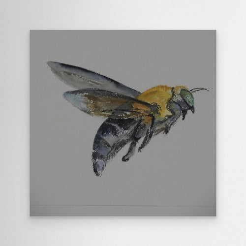 Honey Bee