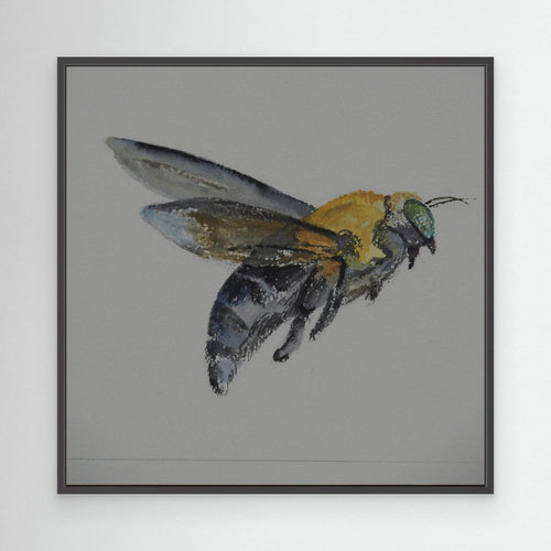 Honey Bee
